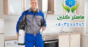 شركة مكافحة حشرات بالطائف