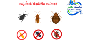 شركة مكافحة حشرات بالطائف