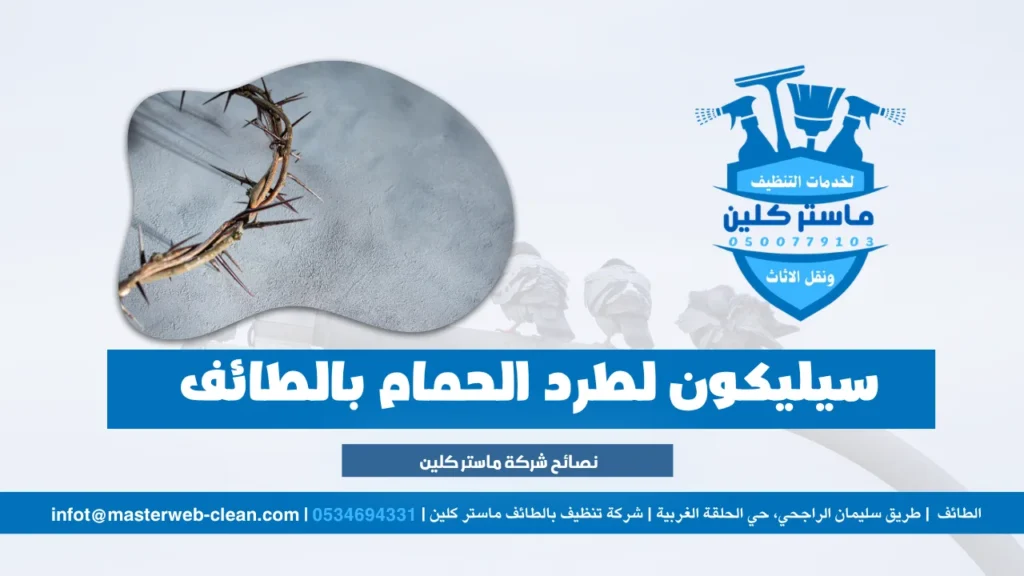 أشواك طاردة للحمام بالطائف